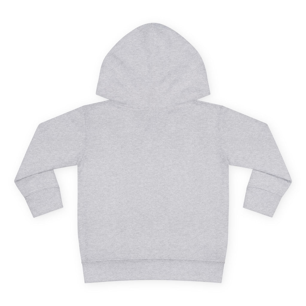 American Kid - Toddler Pullover Fleece Hoodie