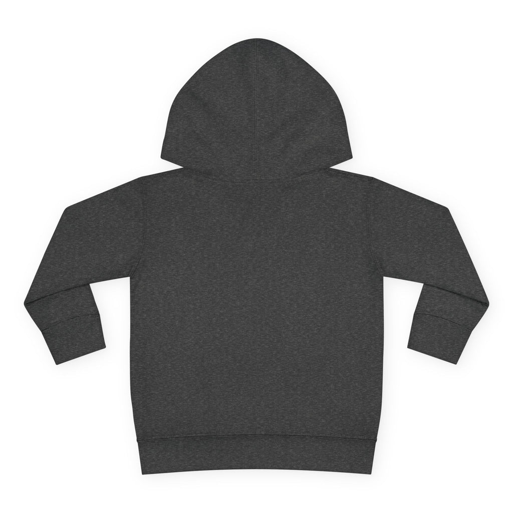 American Kid - Toddler Pullover Fleece Hoodie