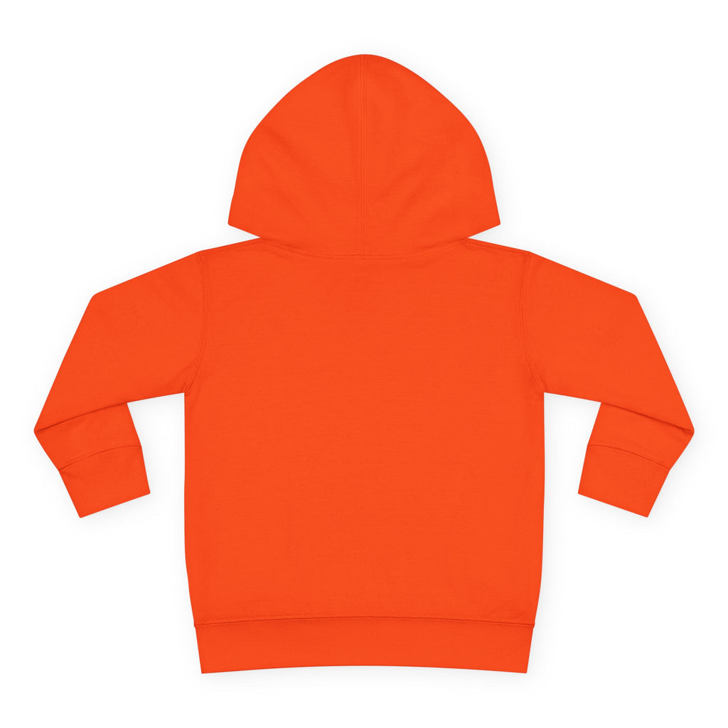 American Kid - Toddler Pullover Fleece Hoodie
