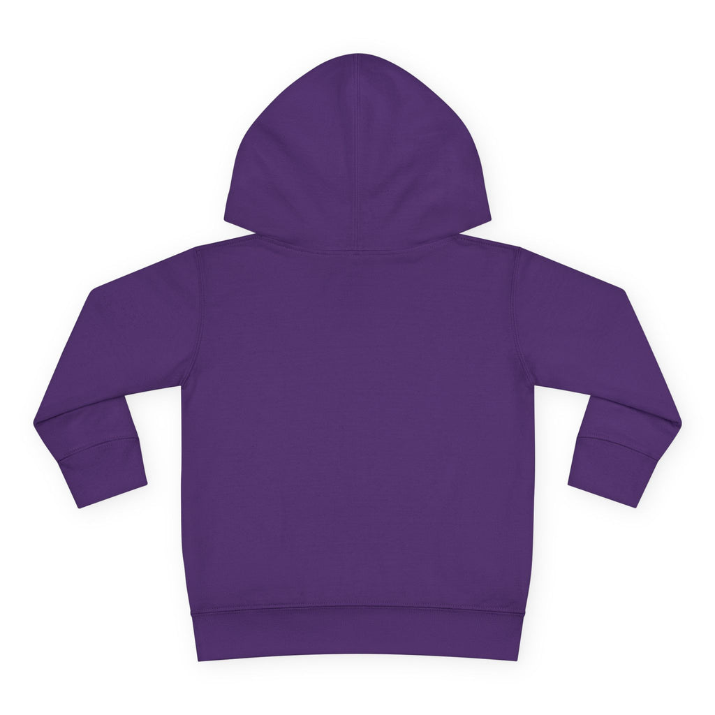 American Kid - Toddler Pullover Fleece Hoodie