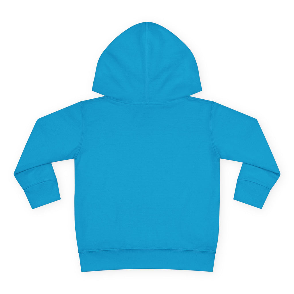 American Kid - Toddler Pullover Fleece Hoodie